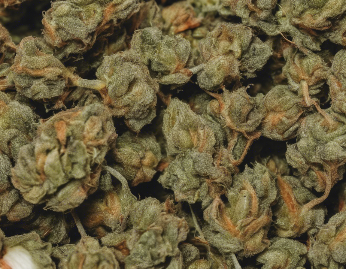 Discovering the Potency of the Bad Apple Strain