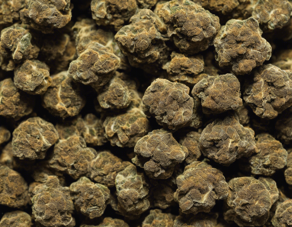 Uncovering the Potency of Gas Truffle Strain